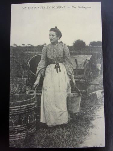 Carte postale les - postale,