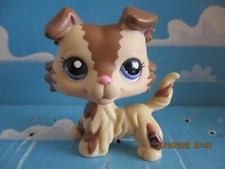 PETSHOP CHIEN COLLEY N°2210