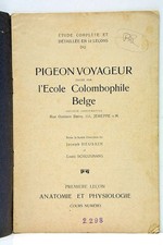 Pigeon Voyageur Anatomie et