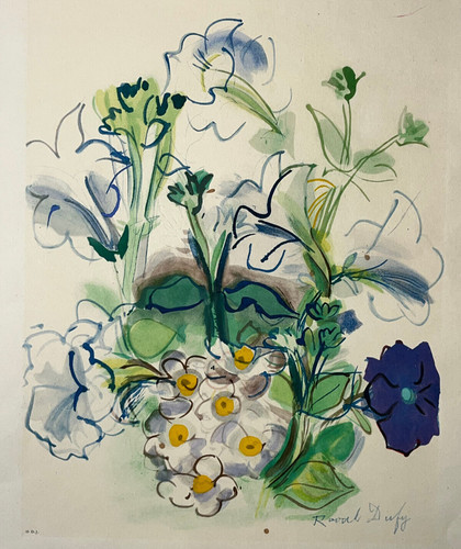 Volubilis lithographie - volubilis,