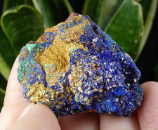 Azurite Chessylite & Malachite Chessy les Mines 4.5x3.5cm France collection rare