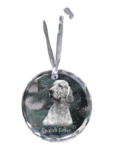 English setter anglais - english, setter,