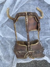 corset Orthopédique Curiosité