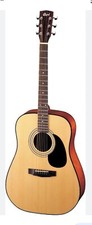 Guitare  Acoustique Cort