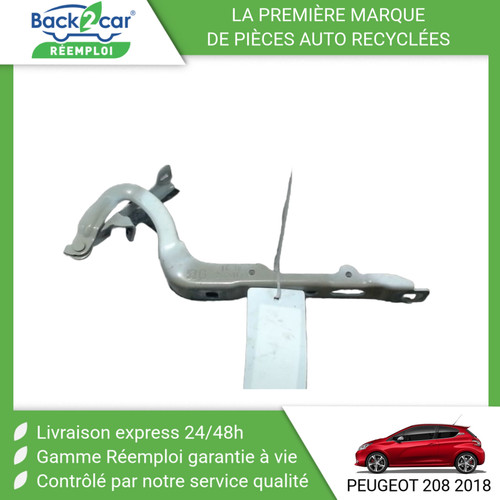 Compas gauche capot - 🏆,