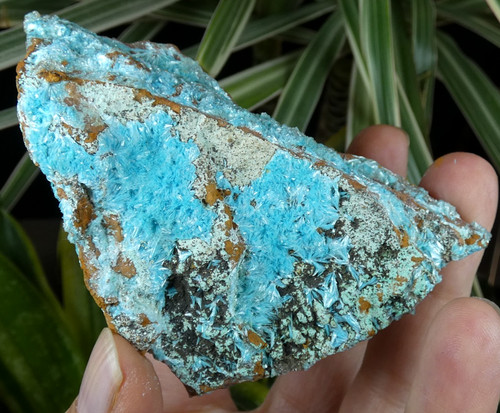 Cristaux aurichalcite bleu - cristaux, d’aurichalcite