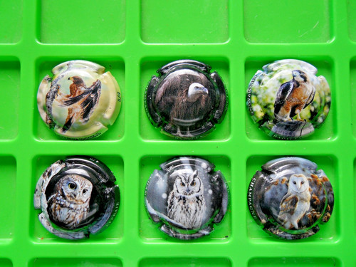 Nouvelle série 6capsules - série,