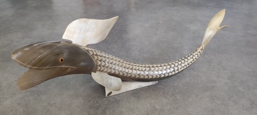 Ancienne poisson corne de - en,