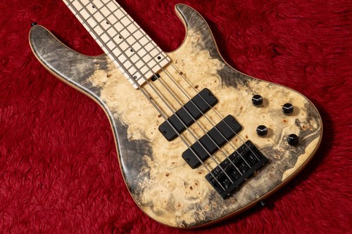 Electric bass guitar sadowsky - guitar,