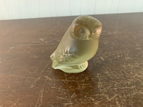 Chouette jaune vert - en, cristal