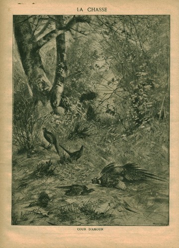 Gravure ancienne chasse - ancienne, la