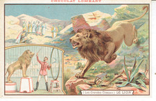 CARTE PUBLICITAIRE CHOCOLAT