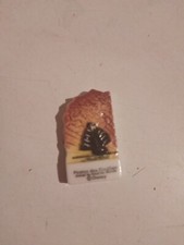 Fève Pirates des Caraïbes