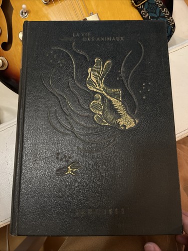 Vie des animaux - vie,