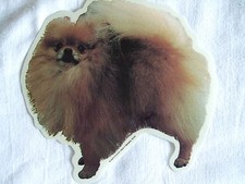 GRAND AUTOCOLLANT  - motif