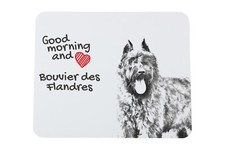 Bouvier des flandres sous main - bouvier,