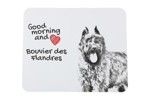 Bouvier des flandres sous main - bouvier,