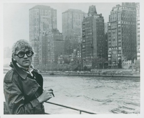David hockney bigger - david, a