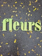 Anciennes Lettres D'enseigne FLEURS - FLOWER - BLUMEN 