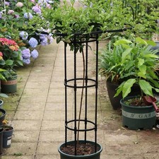 Treillis de jardin noir pour plantes d'intérieur et d'extérieur solide et fiab