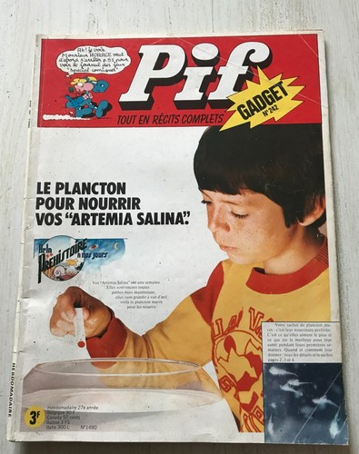 Magazine pif gadget ancien - magazine,