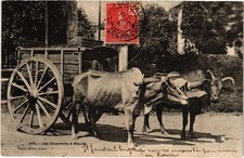 CPA VIETNAM La Charette a Boeufs (85724)