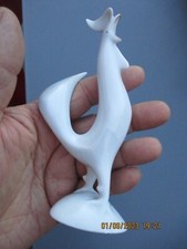 Joli Petit Jeune Coq Hungary