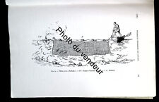 Poissons (halieutique): Puyo, 1936. Ichthyologie de la Guyane Pêches & pêcheries