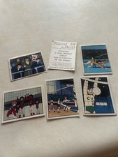 Image panini autocollant - panini,