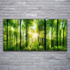 Image sur verre acrylique Tableau Impression 120x60 Nature Forêt