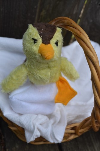 Realistic mallard duckling - mallard,