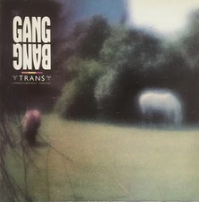 Gang Bang Trans (Transformerad