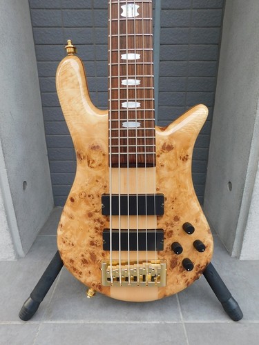Spector euro poplar burl - lx,