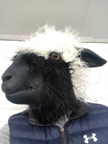 Laine mouton tête masque - mouton,