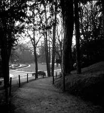 Paysage Parc Paris voiture silhouette  - 2 anciens négatifs photo an. 1950