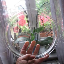 1 plateau à liqueur en