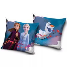 Coussin LA REINE DES NEIGES 40