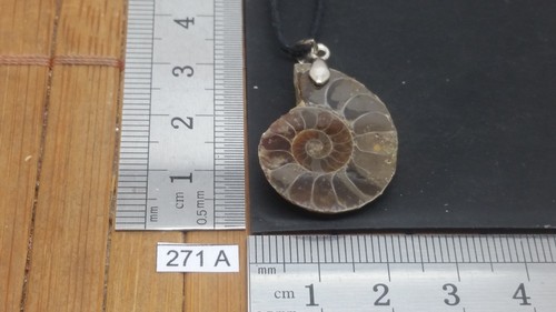 Collier ammonite cordon - ammonite,