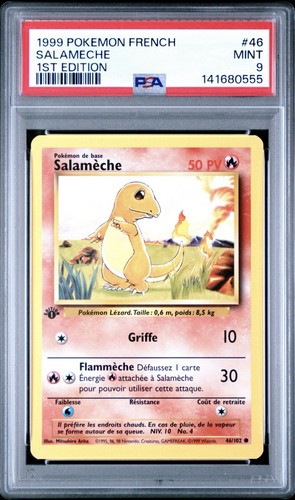 1999 pokemon french 1st - 1999,