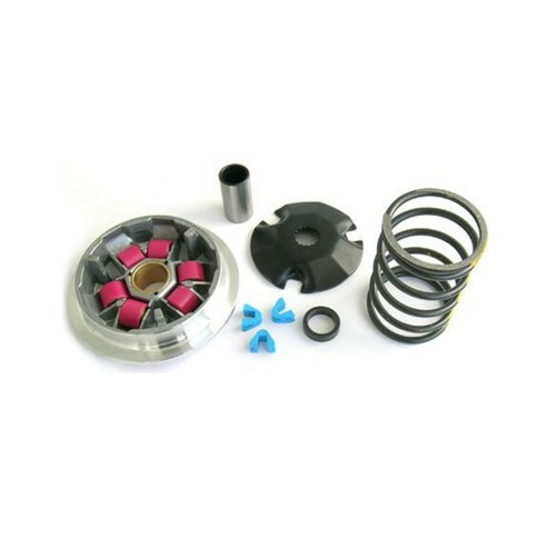 Variateur benelli 491 - variateur,