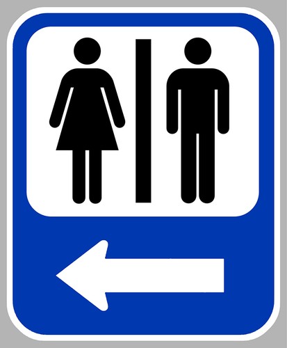 Toilette gauche camping - toilette, wc