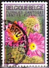 Stamp/ Timbres de Belgique. Floralies Cantoise Cactus Fleuri Oblitéré T.B.Etat