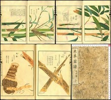 1920 Honzo Zufu Subokirui Bamboo Picture Japonais Original Woodblock Print Book