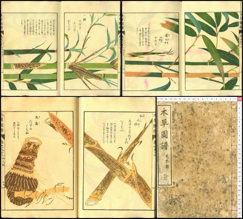 1920 honzo zufu subokirui - 1920,