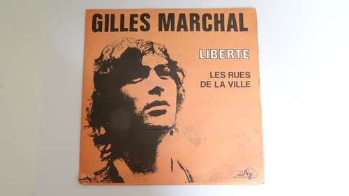 Tours gilles - 45,