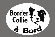 * 1 Sticker -  Border Collie