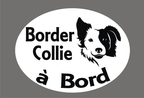 Sticker border collie - *, 1