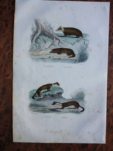 Gravure couleur