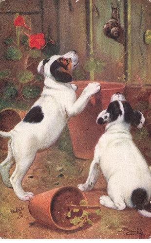 Chien 25153 jack russell - chien, #25153