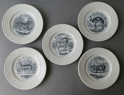 Assiettes parlantes animaux - 5,